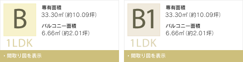 B・B1type