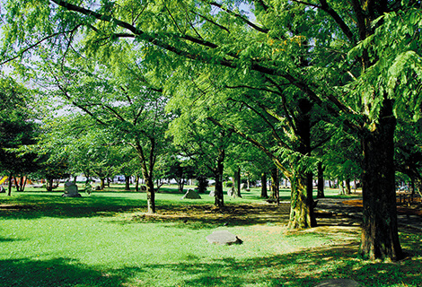 山王公園