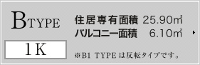 Btype