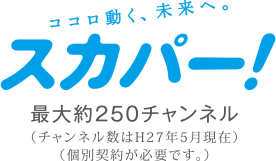 テレビ回線に光ファイバーを導入